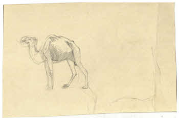 Visualizza l'immagine "FD D 200 r."